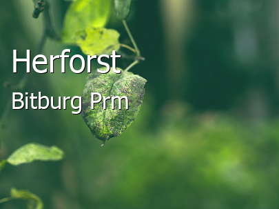 Herforst Groes Dorf