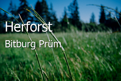 Herforst Landkreis Bitburg-Prüm Herforst Großes Dorf