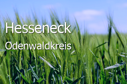 Hesseneck Odenwaldkreis Hesseneck Dorf