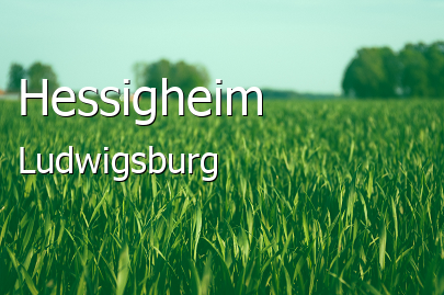 Hessigheim Landkreis Ludwigsburg Hessigheim Landstadt