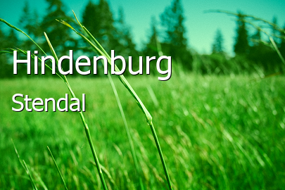 Hindenburg 