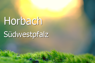 Horbach Landkreis Südwestpfalz Horbach Kleines Dorf