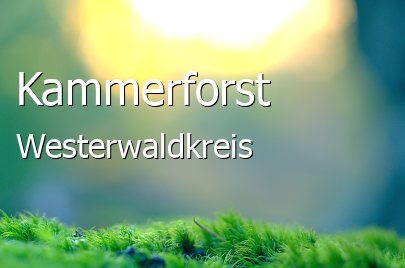 Kammerforst Kleines Dorf