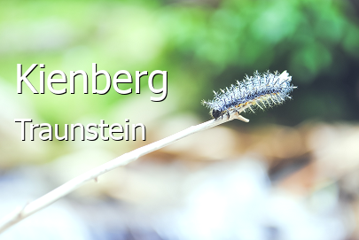 Kienberg Groes Dorf