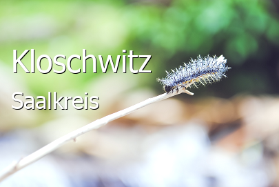 Kloschwitz 