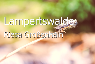 ᐅ Lampertswalde 01561 › RiesaGroßenhain › Sachsen 2024