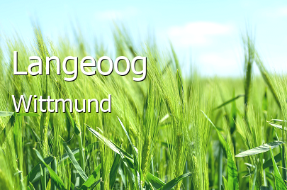 Langeoog Landkreis Wittmund Langeoog Großes Dorf