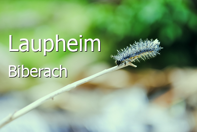 Laupheim Landkreis Biberach Laupheim Kleinstadt