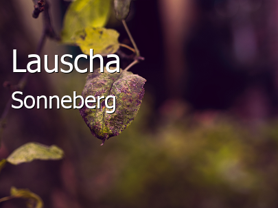 Lauscha Landkreis Sonneberg Lauscha Landstadt