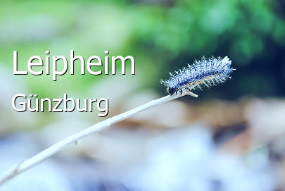 ᐅ Leipheim 89340 › Günzburg › Bayern 2023