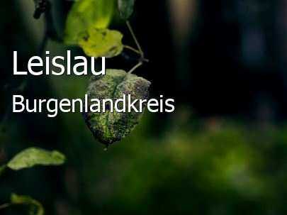 Leislau 