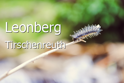 Leonberg Landkreis Tirschenreuth Leonberg Kleine Mittelstadt