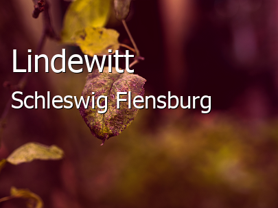 Lindewitt Landkreis Schleswig-Flensburg Lindewitt Landstadt