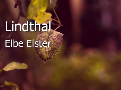 Lindthal 