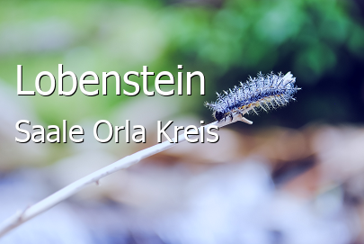 Lobenstein Saale-Orla-Kreis Lobenstein
