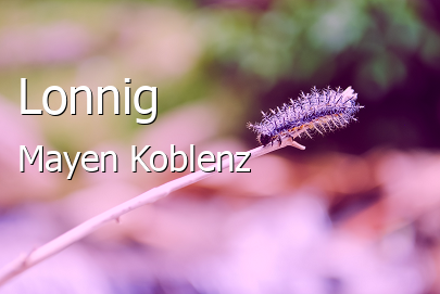 Lonnig Landkreis Mayen-Koblenz Lonnig Großes Dorf