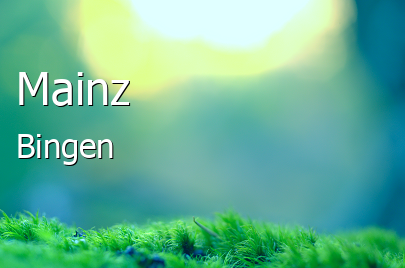Landkreis Mainz-Bingen  Bingen am Rhein  Rheinland-Pfalz 