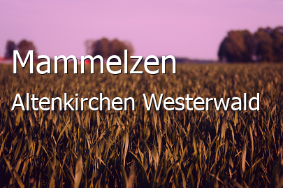 Mammelzen Landkreis Altenkirchen-Westerwald Mammelzen Großes Dorf