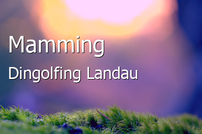 Mamming Landstadt