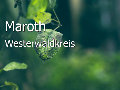 Maroth Westerwaldkreis Maroth Kleines Dorf