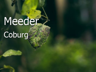 Meeder Landkreis Coburg Meeder Landstadt