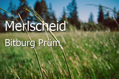 Merlscheid Landkreis Bitburg-Prüm Merlscheid Kleines Dorf
