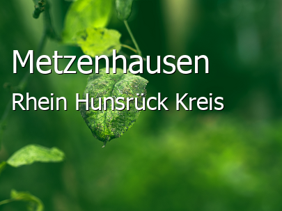 Metzenhausen Rhein-Hunsrück-Kreis Metzenhausen Kleines Dorf