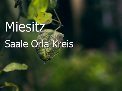 Miesitz Saale-Orla-Kreis Miesitz Kleines Dorf