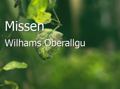 Missen-Wilhams Groes Dorf