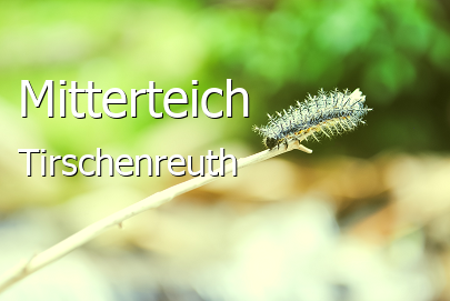 Mitterteich Landkreis Tirschenreuth Mitterteich Große Landstadt