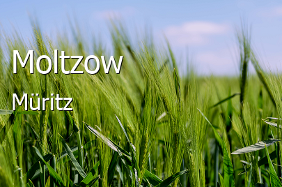 Moltzow Landkreis Müritz Moltzow Kleines Dorf