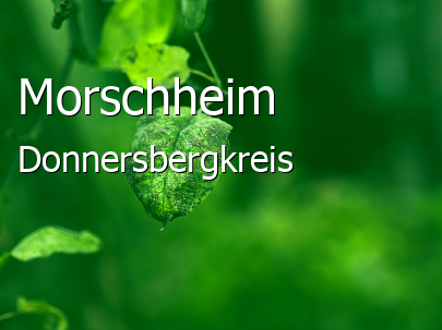 Morschheim Donnersbergkreis Morschheim Dorf