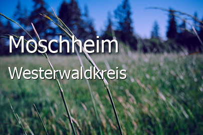 Moschheim Dorf