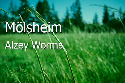 Mölsheim Landkreis Alzey-Worms Mölsheim Dorf