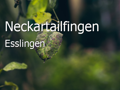 Neckartailfingen Landkreis Esslingen Neckartailfingen Landstadt
