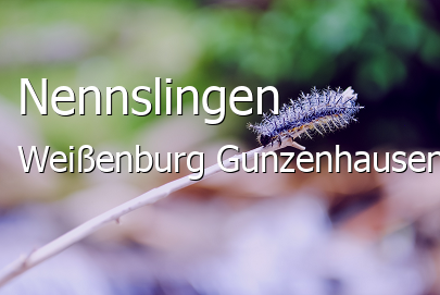 Nennslingen Landkreis Weißenburg-Gunzenhausen Nennslingen Großes Dorf