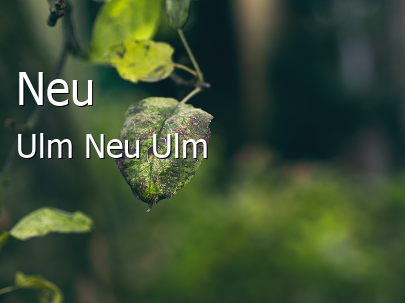 Neu-Ulm Landkreis Neu-Ulm Neu-Ulm Mittelstadt