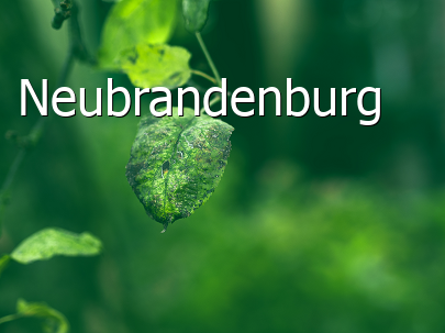 Kreisfreie Stadt Neubrandenburg  Neubrandenburg  Mecklenburg-Vorpommern 