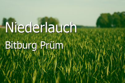 Niederlauch Landkreis Bitburg-Prüm Niederlauch Kleines Dorf