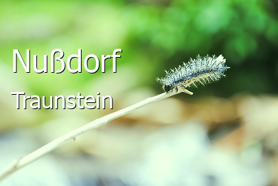 Nußdorf Landkreis Traunstein Nußdorf Landstadt