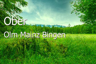 Ober-Olm Landkreis Mainz-Bingen Ober-Olm Landstadt