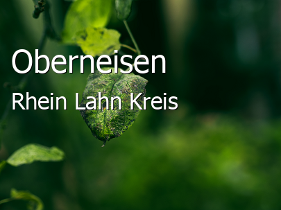 Oberneisen Rhein-Lahn-Kreis Oberneisen Dorf