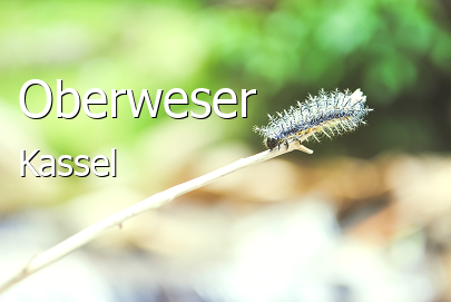 Oberweser Landkreis Kassel Oberweser Landstadt