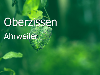 Oberzissen Landkreis Ahrweiler Oberzissen Großes Dorf