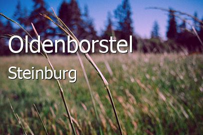 Oldenborstel Landkreis Steinburg Oldenborstel Kleines Dorf