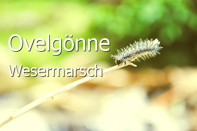 Ovelgönne Landkreis Wesermarsch Ovelgönne Große Landstadt