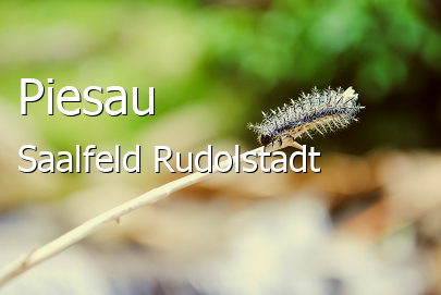 Piesau Landkreis Saalfeld-Rudolstadt Piesau Dorf