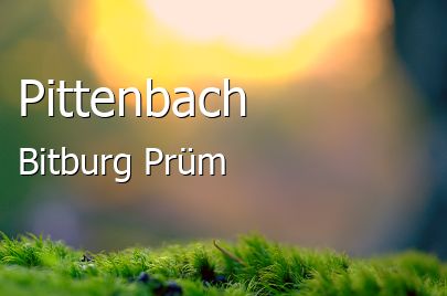 Pittenbach Landkreis Bitburg-Prüm Pittenbach Kleines Dorf