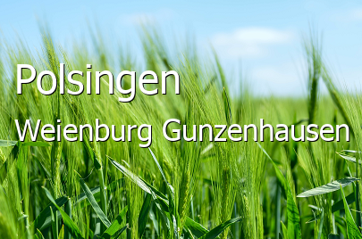 Polsingen Groes Dorf