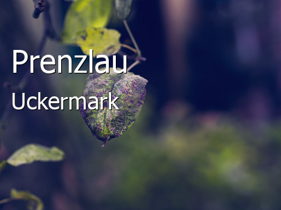 Prenzlau Landkreis Uckermark Prenzlau Kleinstadt